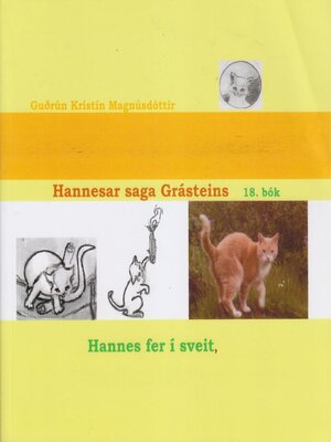 cover image of Hannesar saga Grásteins - 18. bók